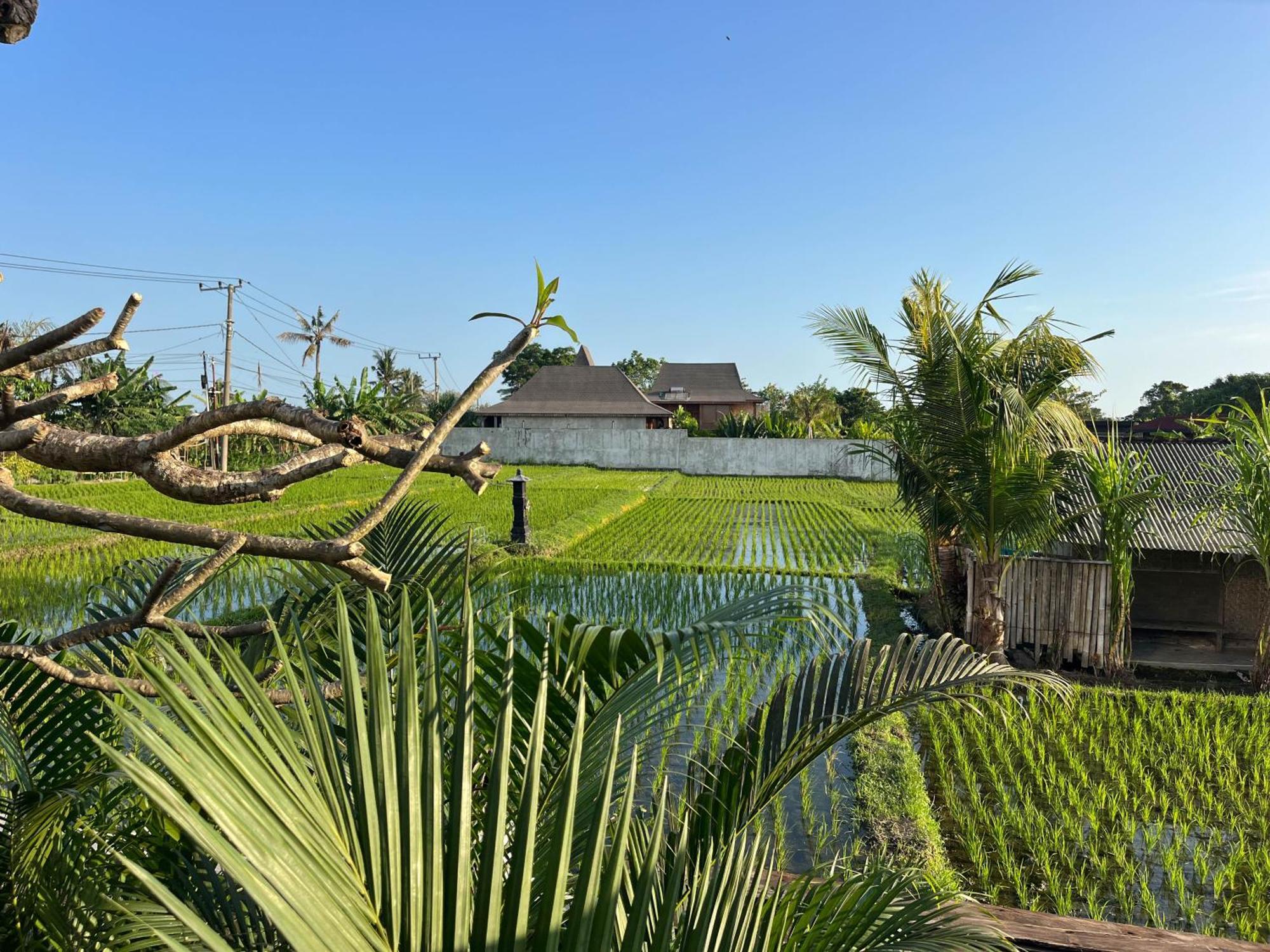 Unit Space Village Canggu Eksteriør billede